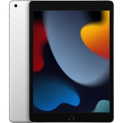 Планшет Apple iPad 2021 256GB Wi-Fi Silver