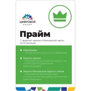 Набор подписок и сервисов Сбер Прайм с защитой экрана и банковской карты