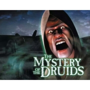 Цифровая версия игры PC Handy Games The Mystery of the Druids