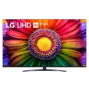 Телевизор LG 65UR81006LJ