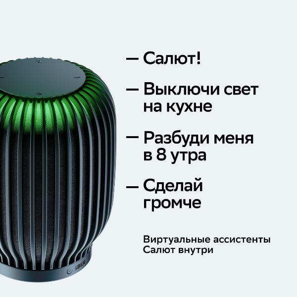 sber-sberboom-s-gigachat-20-40-vt-black-8