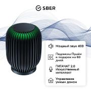 sber-sberboom-s-gigachat-20-40-vt-black