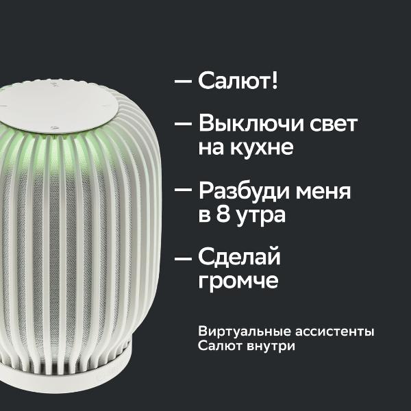 sber-sberboom-s-gigachat-20-40-vt-white-8