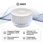 sber-sberboom-mini-2-s-gigachat-20-grey