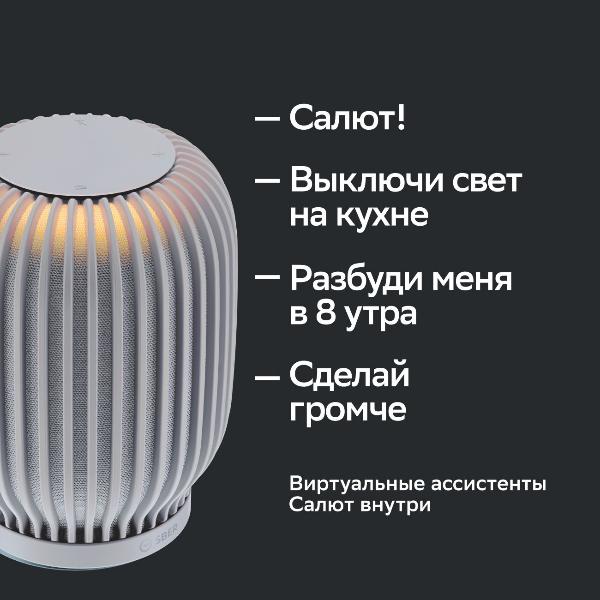 sber-sberboom-s-gigachat-20-40-vt-grey-8