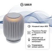 sber-sberboom-s-gigachat-20-40-vt-grey