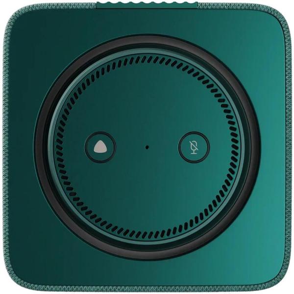 yandeks-stanciya-maks-s-alisoi-na-yagpt-s-zigbee-green-3