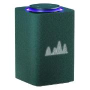 yandeks-stanciya-maks-s-alisoi-na-yagpt-s-zigbee-green
