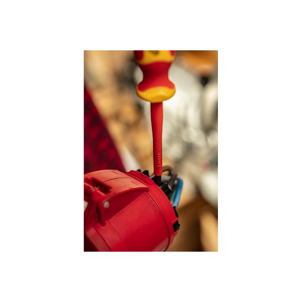 neo-tools-ph1-x-4-5-x-80-mm-1000-v-04-138-4