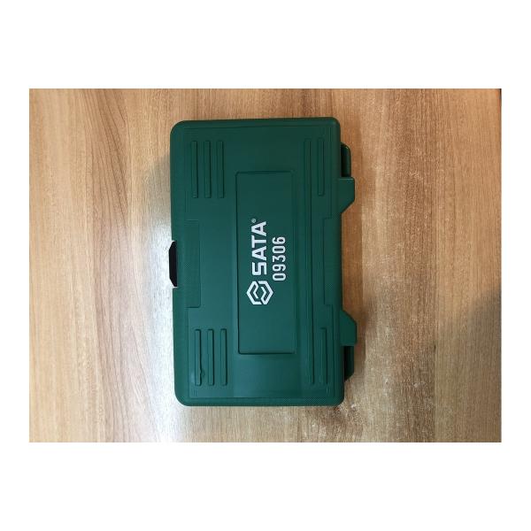 sata-09306-6