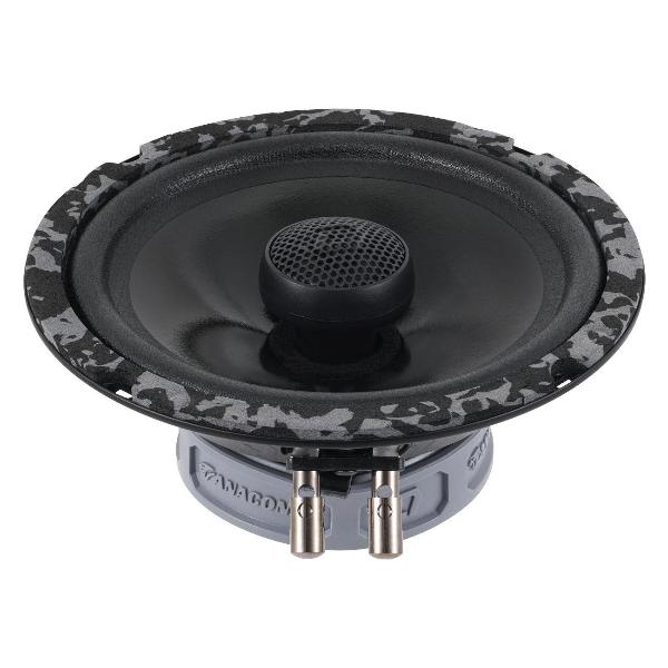 avtomobilnye-kolonki-dl-audio-anaconda-165-coax