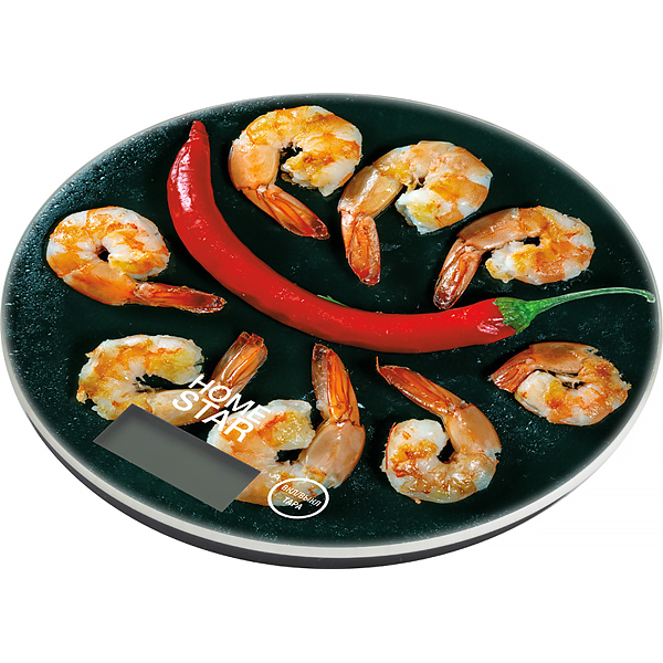 homestar-hs-3007s-101219