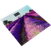 homestar-hs-6001g-004545