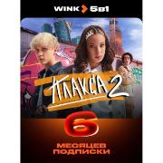 online-cinema-wink-5v-1-on-6-months