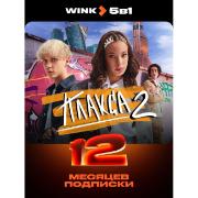 online-cinema-wink-5v-1-on-12-months