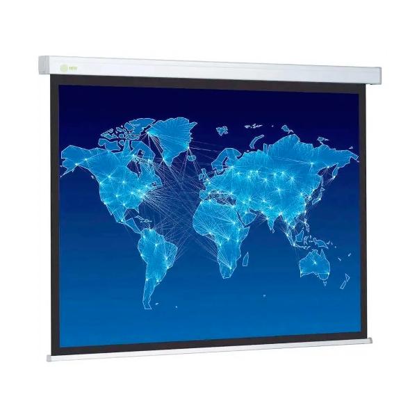 screen-for-video-projector-cactus-cs-psw-170-170