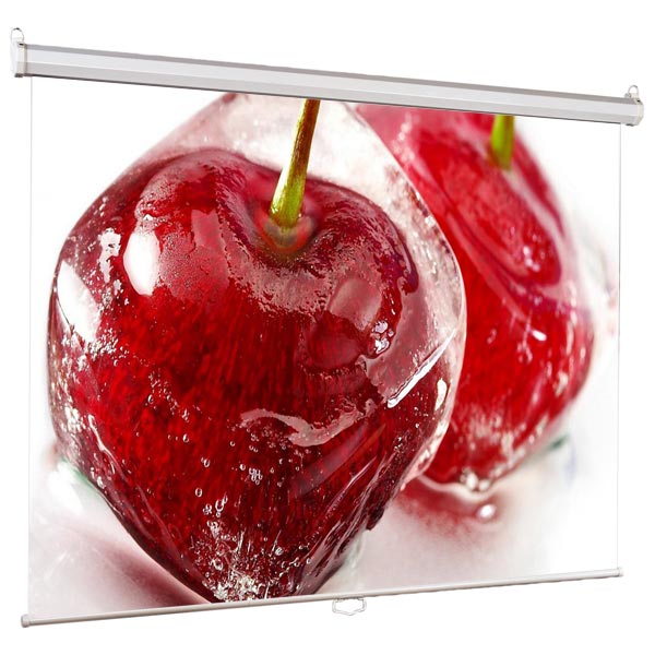 screen-for-video-projector-viewscreen-scroll-180-180mw