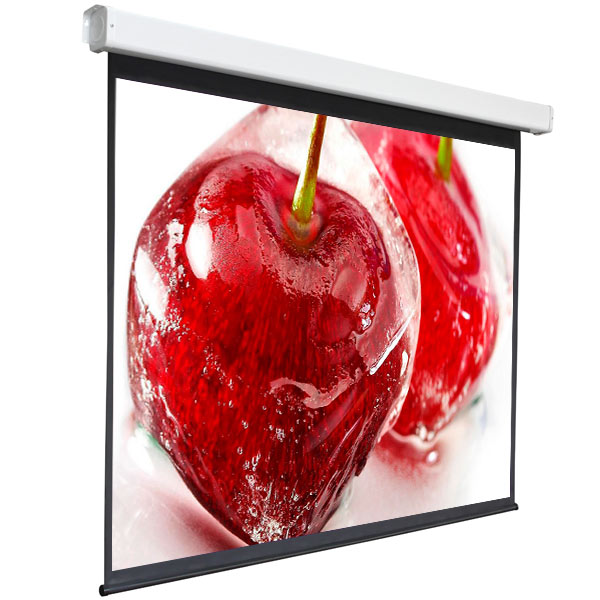 screen-for-video-projector-digis-electra-f-4:3-150inch-308-230-mw-dsef-4305