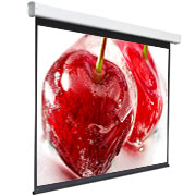 screen-for-video-projector-digis-electra-f-4:3-150inch-308-230-mw-dsef-4305