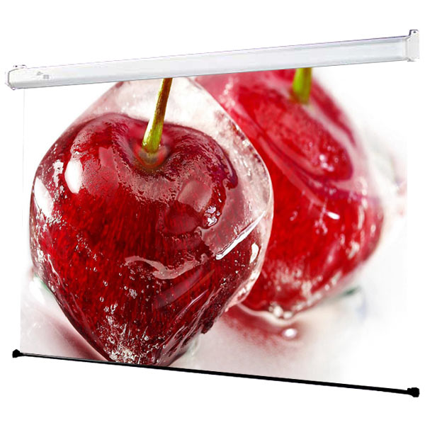 screen-for-video-projector-draper-luma-hdtv-7-mw-white-case-127-169