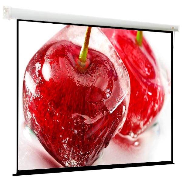 screen-for-video-projector-viewscreen-breston-16-10mw-ebr-16109-406-305