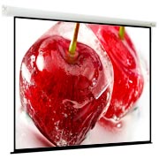 screen-for-video-projector-viewscreen-breston-16-9mw-ebr-16107-406-305