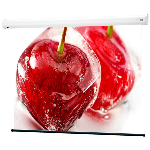 screen-for-video-projector-draper-baronet-ntsc-3:4-152-203-xt1000e-mw-130034b