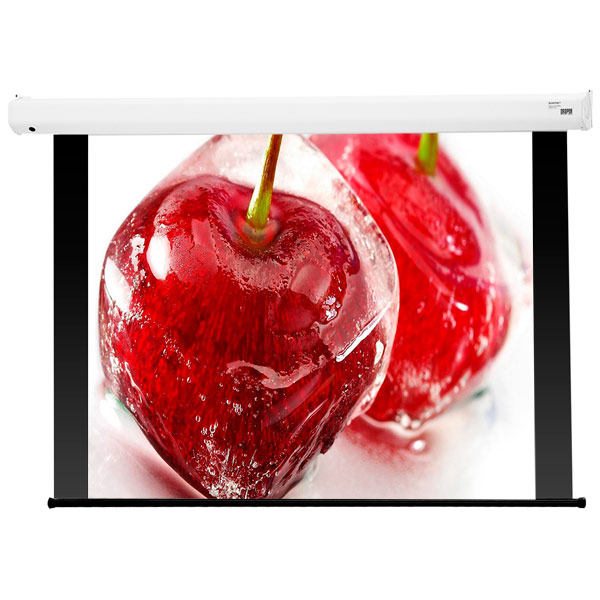 screen-for-video-projector-draper-baronet-av-1:1-244-244-xt1000e-mw-130031b