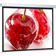screen-for-video-projector-cactus-cs-psw-180-180