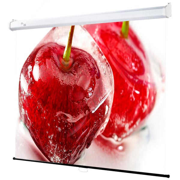 screen-for-video-projector-draper-luma-2-ntsc-3:4-xt1000e-mw-206015-198-264