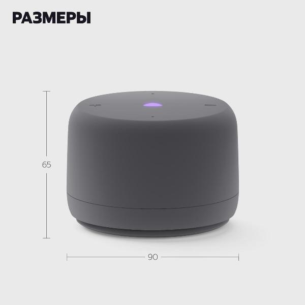 smart-speaker-yandex-lajt-2-yndx-00028-graphite-10