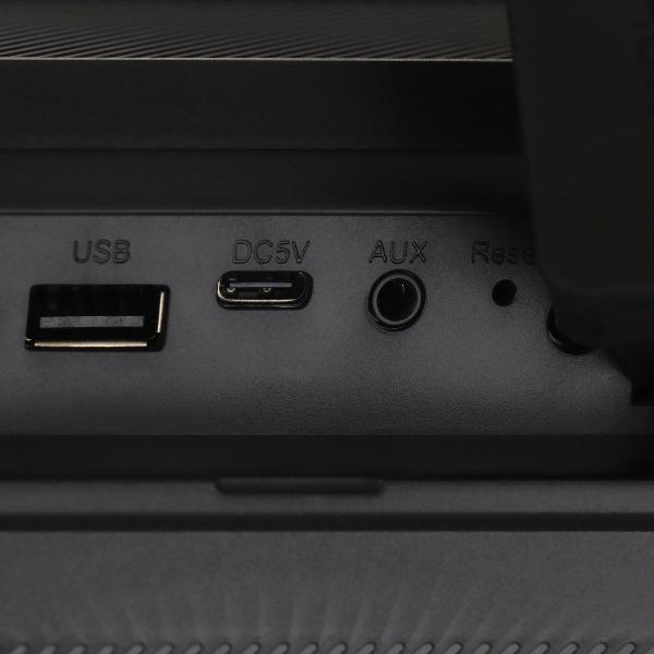 portable-speaker-digma-d-ps1531-9