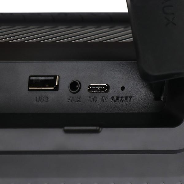 portable-speaker-digma-d-ps1530-6