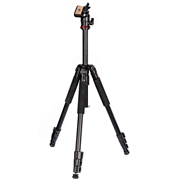 tripod-hama-00004291