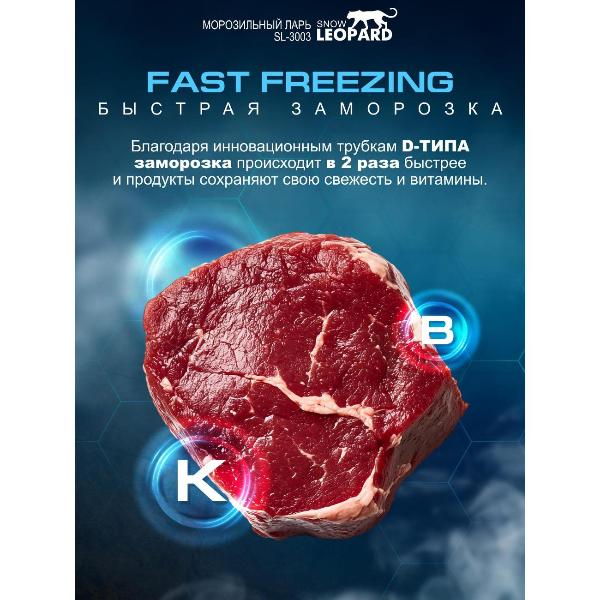 chest-freezer-snow-leopard-sl-3003-4