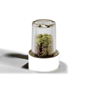 nozzle-multi-cutter-kenwood-at320