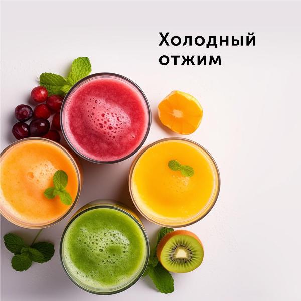 juicer-auger-red-solution-rj-914s