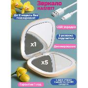 mirror-cosmetic-hasten-folding-has1817