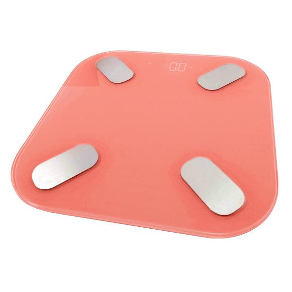 smart-scales-hi-vs-113-2