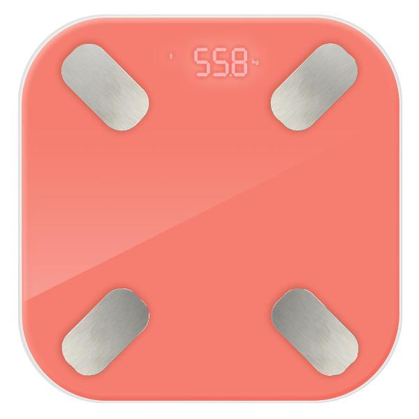 smart-scales-hi-vs-113-3