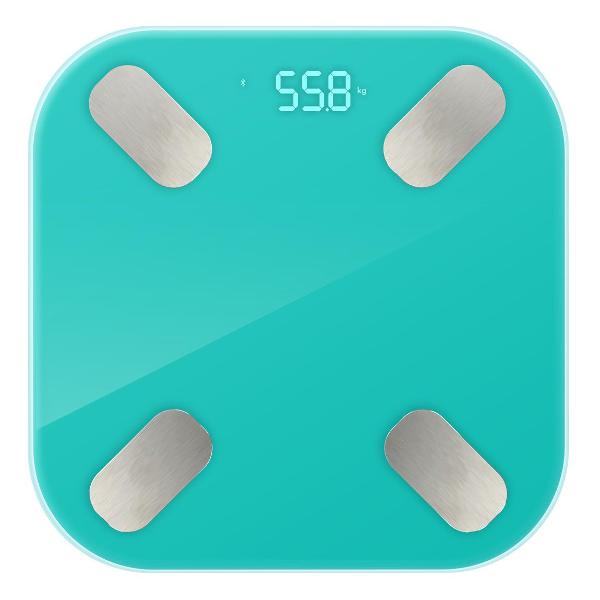 smart-scales-hi-vs-114