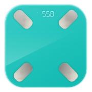 smart-scales-hi-vs-114