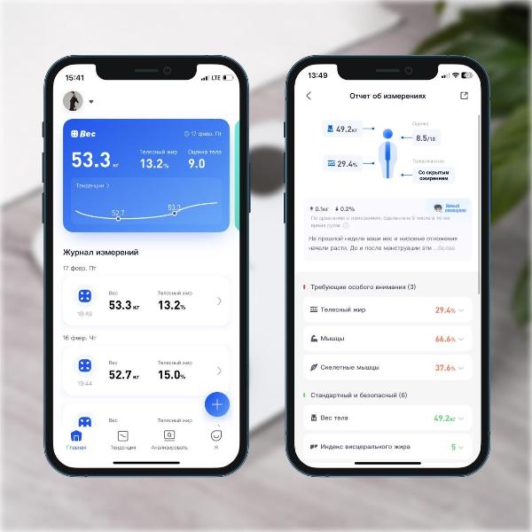 scales-floor-picooc-mini-lite-6924917717339-3