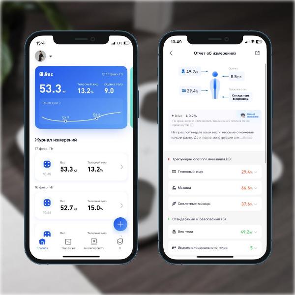 scales-floor-picooc-mini-pro-v2-6924917717377-4