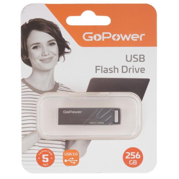 memory-usb-flash-256gb-gopower-1