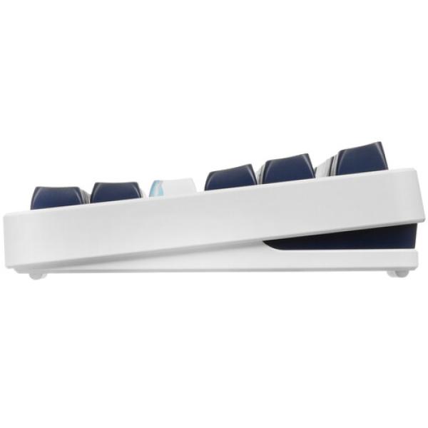 keyboard-wired-ardor-gaming-majestic-3
