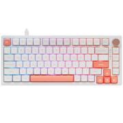keyboard-wired-vgn-n75-jelly-orange