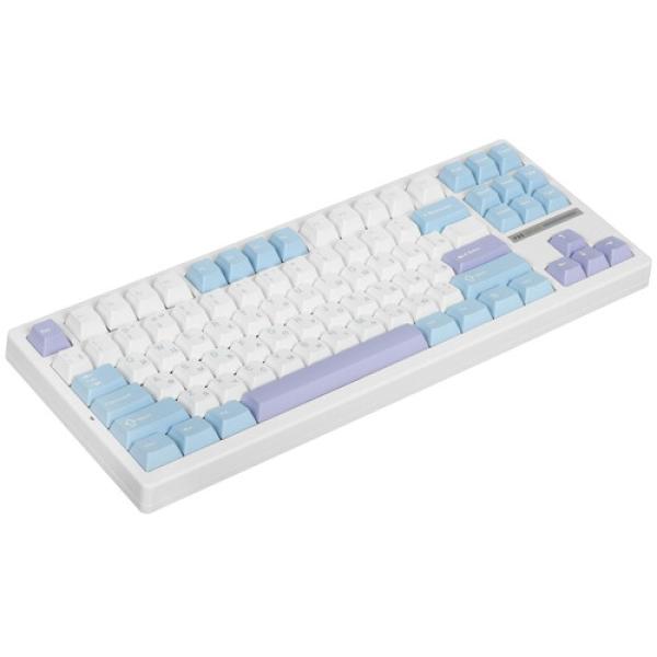 keyboard-wired-wireless-vgn-s87-sea-salt-3