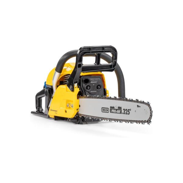 chainsaw-champion-254-18-4