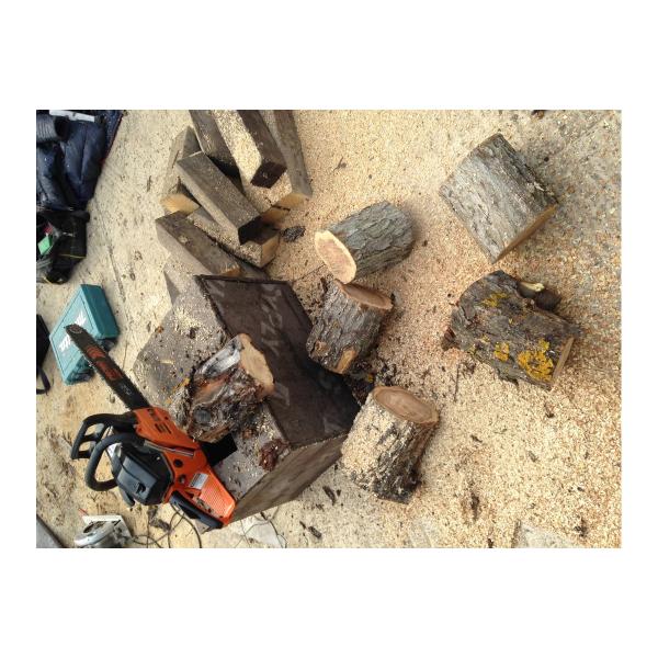 gasoline-saw-carver-promo-psg-52-18-01.004.00024-4